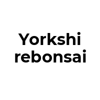 YORKSHIREBONSAI Promo Codes  YORKSHIREBONSAI Coupon Codes