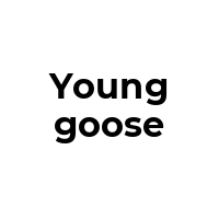 YOUNGGOOSE Promo Codes  YOUNGGOOSE Coupon Codes