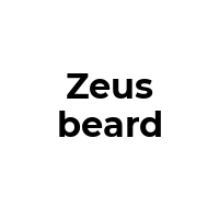 ZEUSBEARD Promo Codes  ZEUSBEARD Coupon Codes