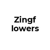 ZINGFLOWERS Promo Codes  ZINGFLOWERS Coupon Codes